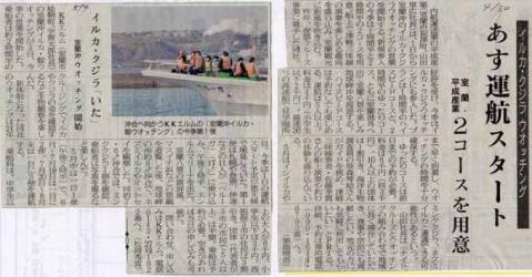 鯨ウオッチング