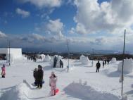 だんパライベント 024