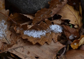 1394244_537934376296331_828722162_n[1]