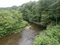 CIMG1790 (640x480) (2)